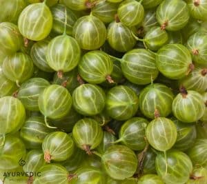 Amalaki is also known as the Indian Gooseberry and is an important Ayurvedic Herb used at our Centre in Bondi