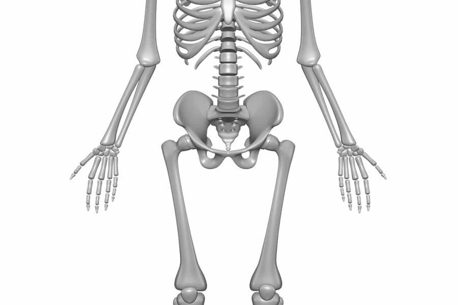Cervical Spondylitis, like Osteoarthritis (Arthritis) and other bone and joint problems, can be treated with Ayurveda. contact the Ayurvedic Wellness Centre in Bondi today